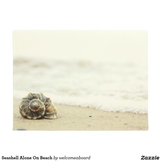 seashell_alone_on_beach_doormat-r77201b4f8030415e989e8e9a36f7affe_jftbl_1024